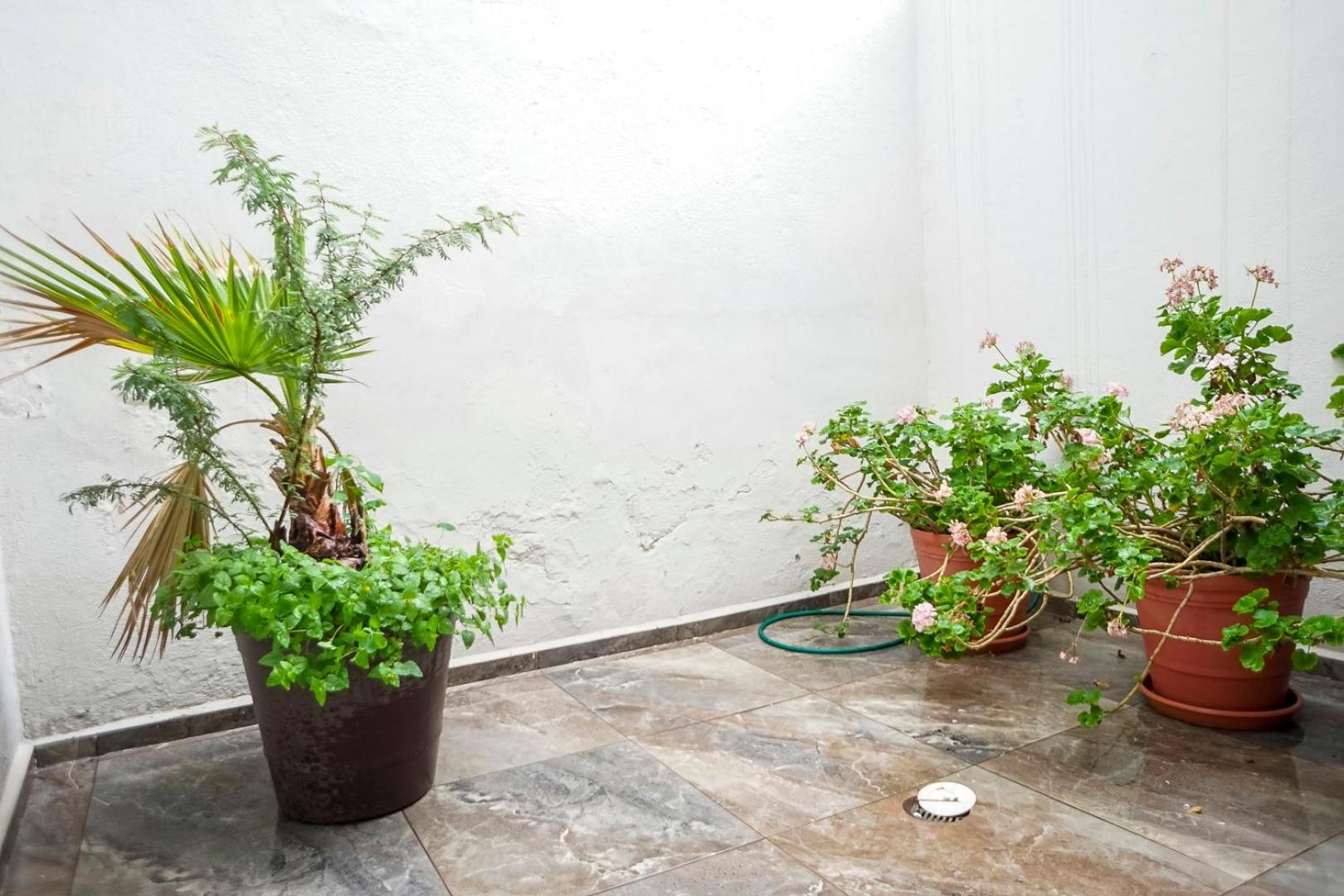 Casa Morelos Stayhouse San Luis Potosí Dış mekan fotoğraf