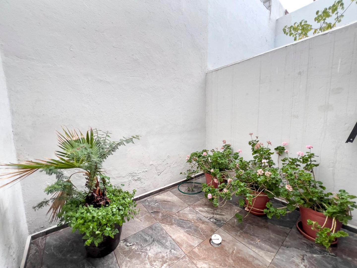 Casa Morelos Stayhouse San Luis Potosí Dış mekan fotoğraf